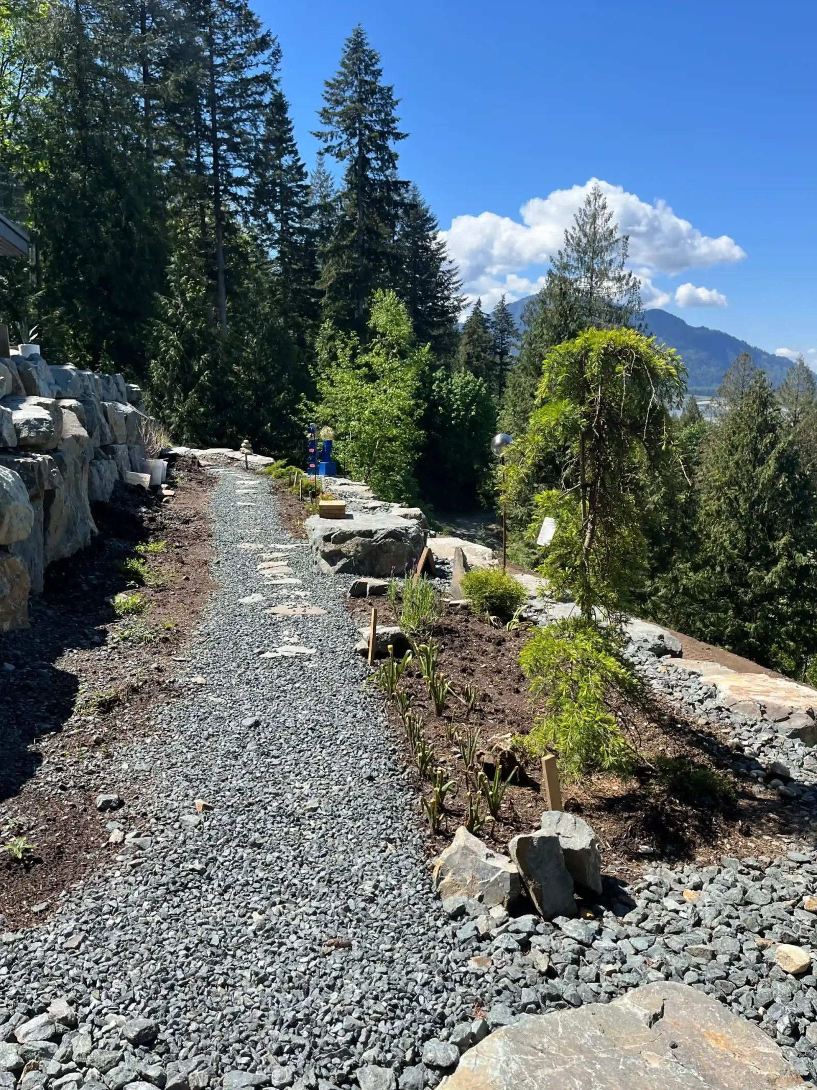 Top Landscaping Trends for Chilliwack Homes in 2026