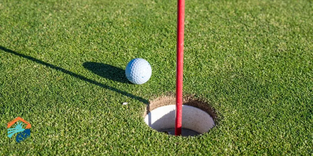 Mini Gold Course Instillation