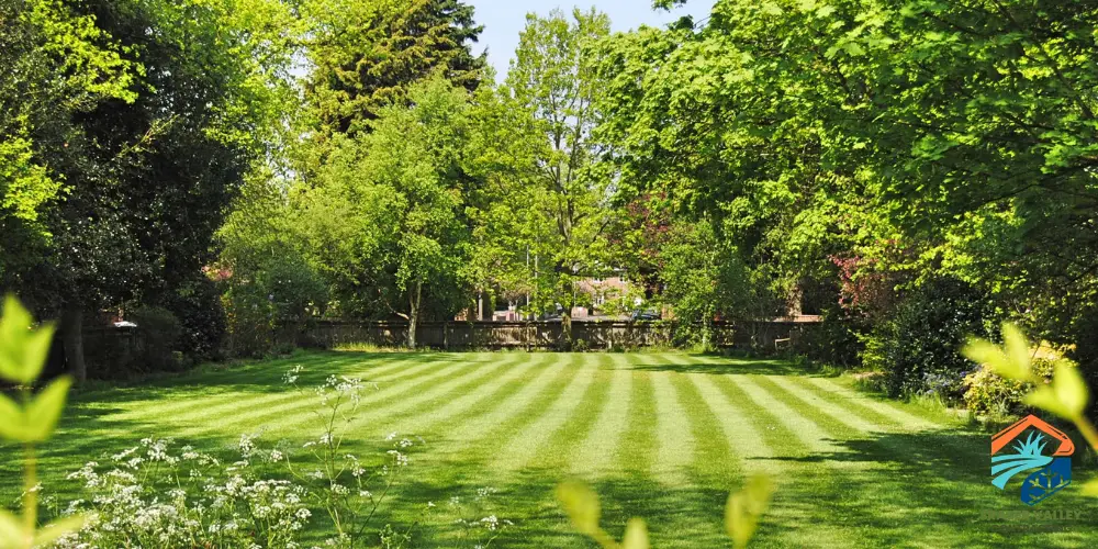 Preparing Your Lawn for a Hot Fraser Valley Summer