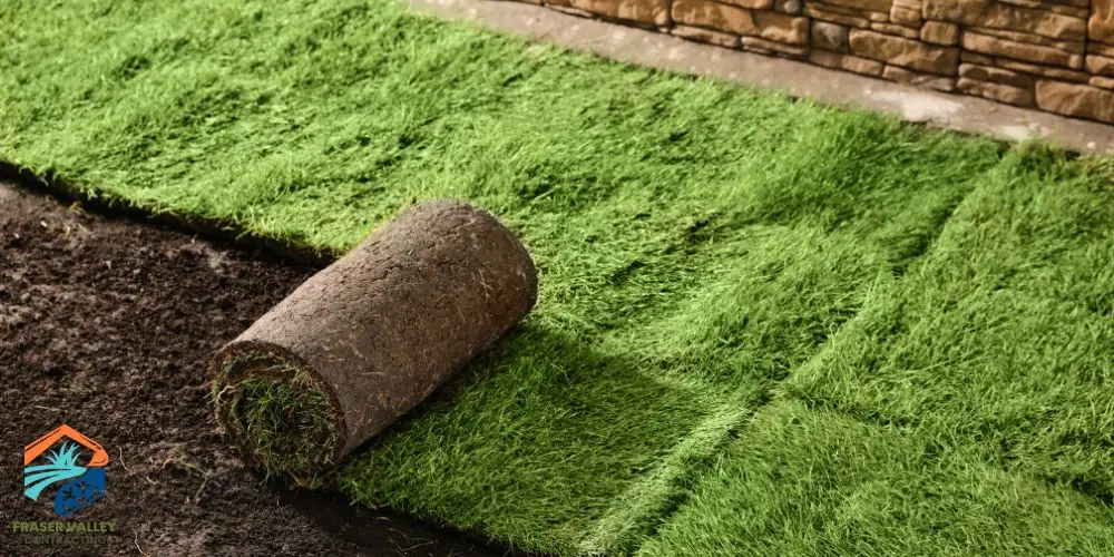 Sod vs Turf