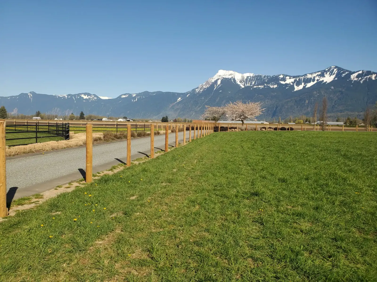 A newly laid lawn with the mountains behind it