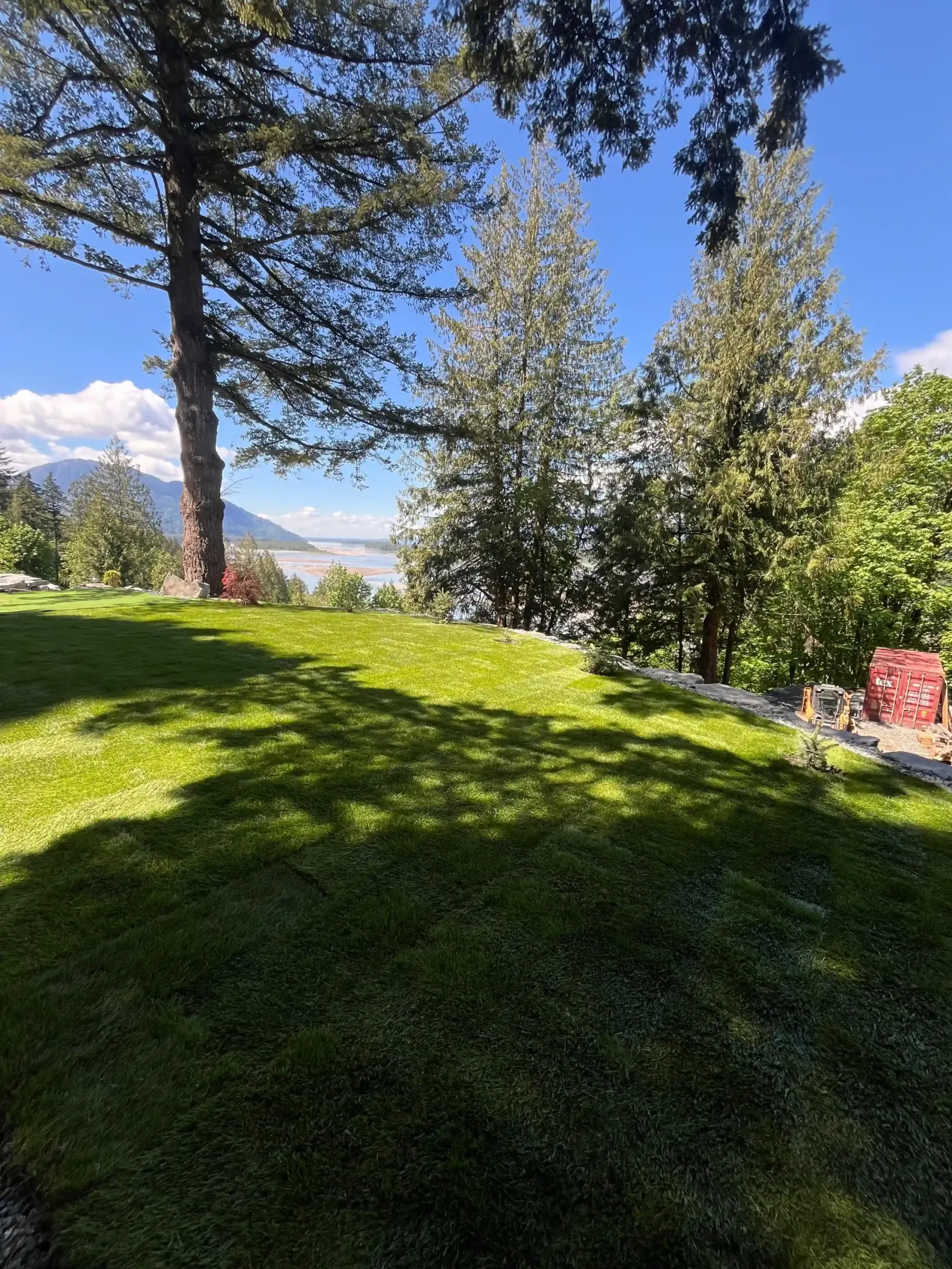 A finished lawn running between mature trees
