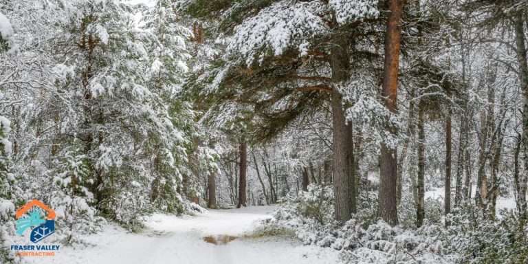 What to Expect During the First Snowfall: Inside Fraser Valley Contracting’s Winter Operations