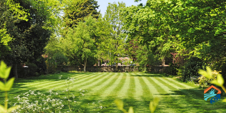 Preparing Your Lawn for a Hot Fraser Valley Summer